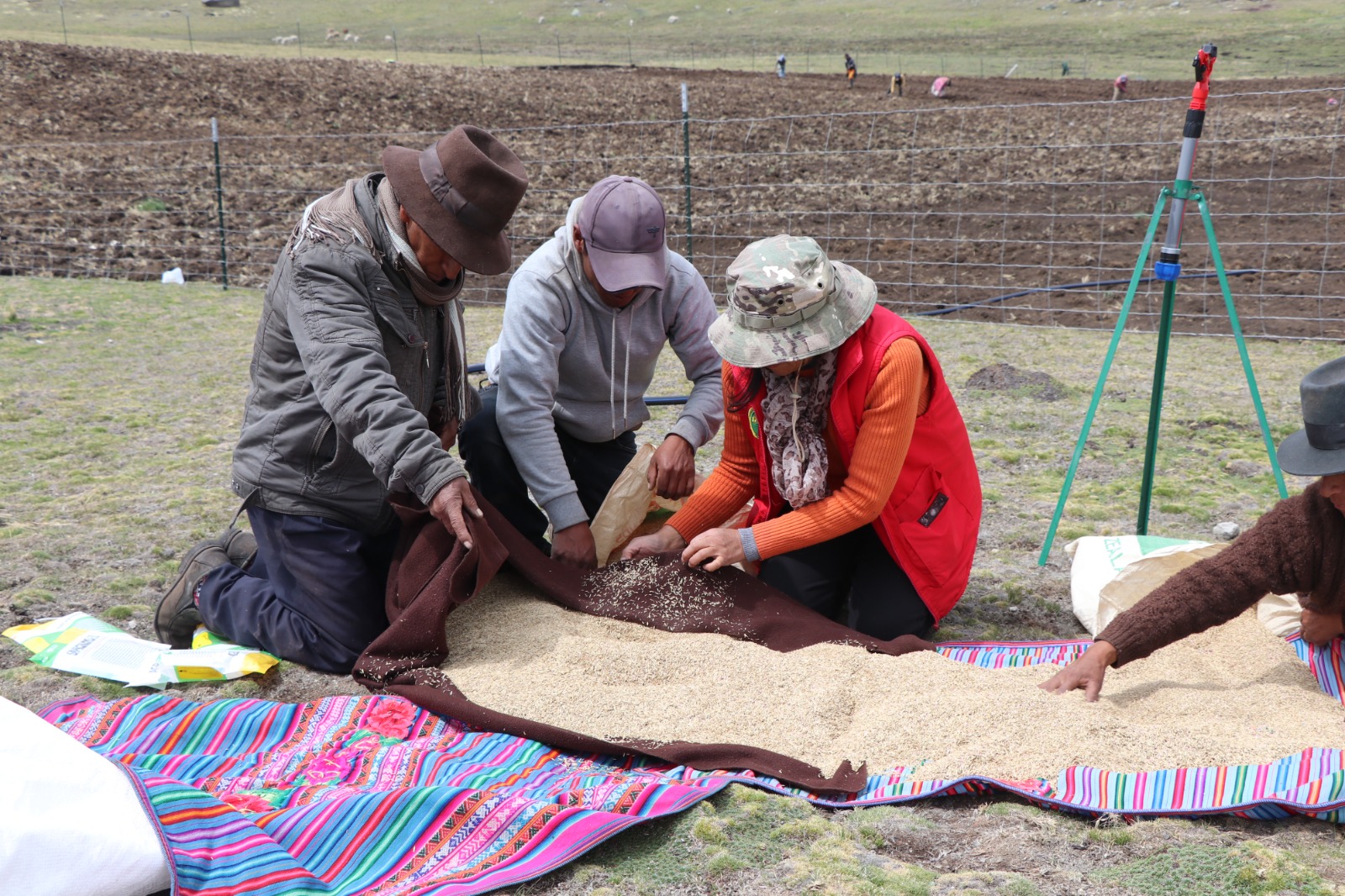 Proyecto Alpaca fortalece capacidades de productores locales en la región de Ayacucho