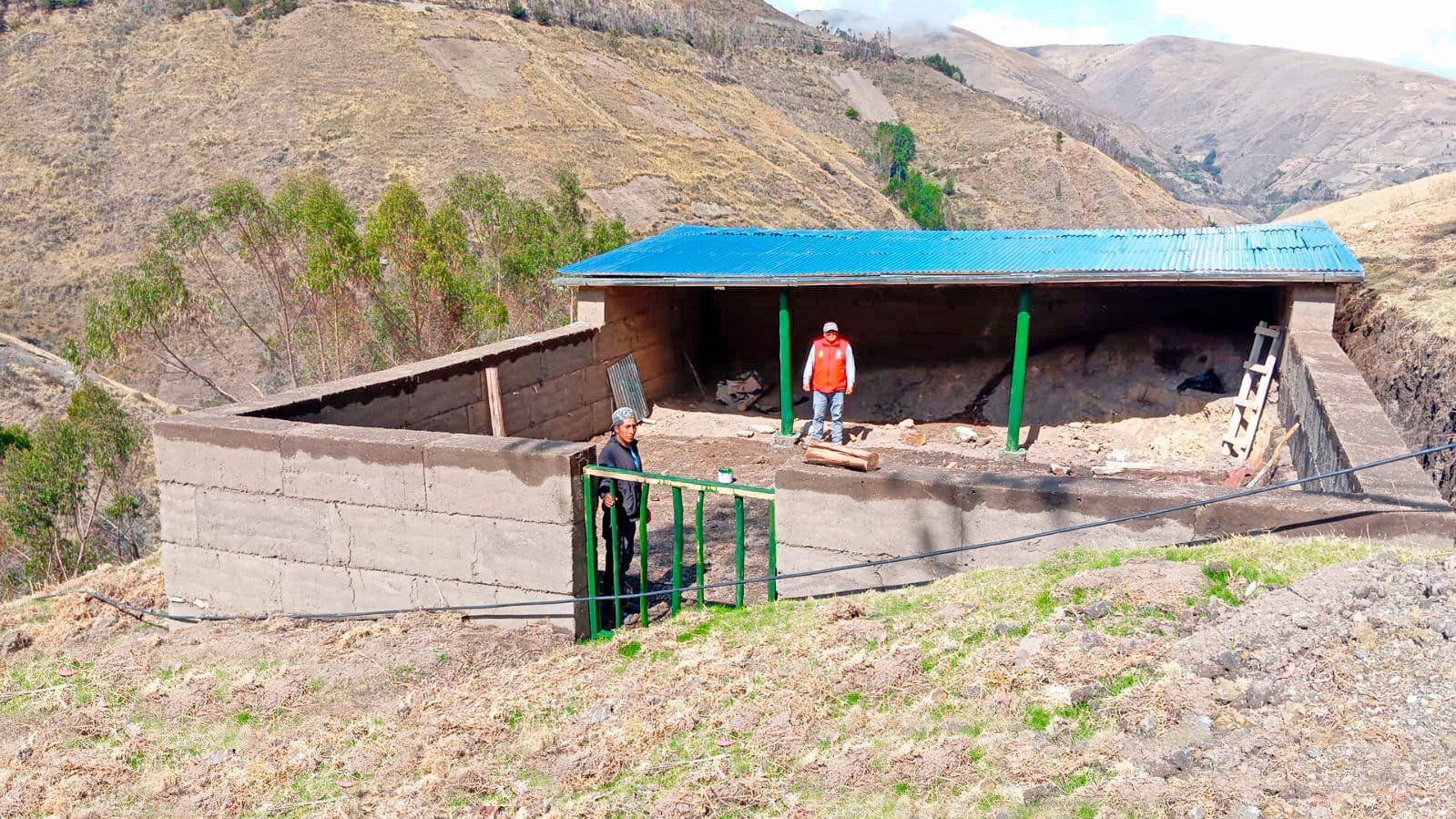 Avanza la instalación de 180 hectáreas de forraje en La Mar y Huanta