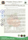 Vista preliminar de documento RESOLUCION DE ALCALDIA N°  134-2023-MDI-A-SG