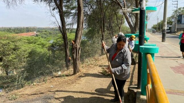 Municipalidad De Sullana Ejecuta Operativo De Limpieza En Paseo Turicarami 