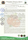 Vista preliminar de documento RESOLUCION DE ALCALDIA N°  166-2023-MDI-A-SG