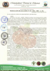 Vista preliminar de documento RESOLUCION DE ALCALDIA N°  167-2023-MDI-A-SG