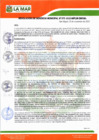 Vista preliminar de documento RGM-375-2023-MPLM
