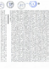 Vista preliminar de documento REG-255-2023-GOREMAD GGR