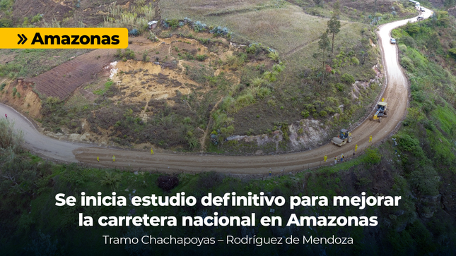 WEB_amazonas_estudio_definitivo_Mesa de trabajo 1 copia 2