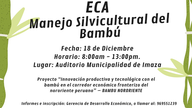 Gerencia de Desarrollo Económico | Invitación al Taller sobre Manejo Silvicultural del BAMBU