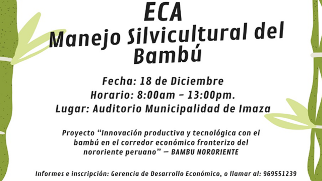Gerencia de Desarrollo Económico   | Invitación al Taller sobre Manejo Silvicultural del BAMBU
