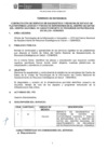 Vista preliminar de documento TdR SERVICIO DE DIAGNOSTICO Y REVISION DE SERVIDORES