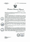 Vista preliminar de documento R.D.R.N°0974-2023-GOB-REG-HVCA-DIRESA