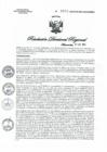 Vista preliminar de documento R.D.R.N°0970-2023-GOB-REG-HVCA-DIRESA