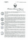 Vista preliminar de documento R.D.R.N°0971-2023-GOB-REG-HVCA-DIRESA