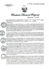 Vista preliminar de documento R.D.R.N°0992-2023-GOB-REG-HVCA-DIRESA
