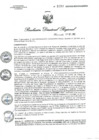 Vista preliminar de documento R.D.R.N°01010-2023-GOB-REG-HVCA-DIRESA