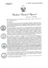 Vista preliminar de documento R.D.R.N°01012-2023-GOB-REG-HVCA-DIRESA