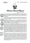 Vista preliminar de documento R.D.R.N°01028-2023-GOB-REG-HVCA-DIRESA