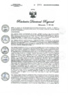 Vista preliminar de documento R.D.R.N°01081-2023-GOB-REG-HVCA-DIRESA