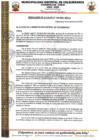 Vista preliminar de documento 344