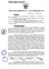 Vista preliminar de documento 030_2013_GRSM_PEAM_01_00