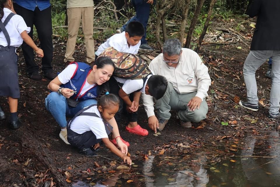 Maynas y SERNANP se unen en una iniciativa para la conservación y protección de taricayas