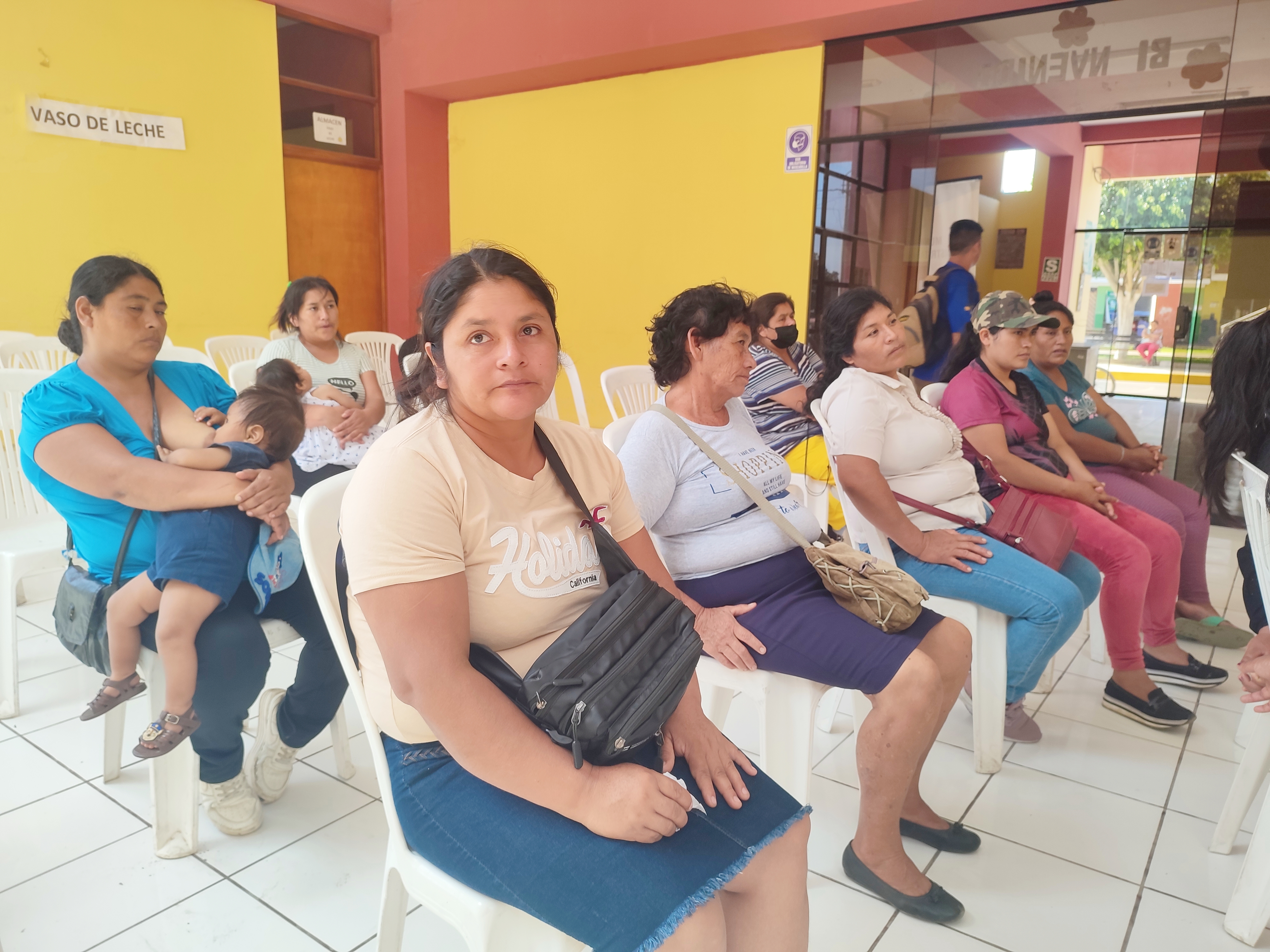 Integrantes de los comités del PVL