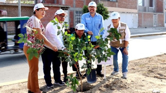 GORE recuperará 34 mil hectáreas de cobertura vegetal en la región Piura
