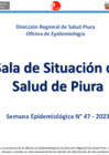 Vista preliminar de documento Semana Epidemiológica N°047-2023