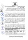 Vista preliminar de documento RES-484-2023-ORA