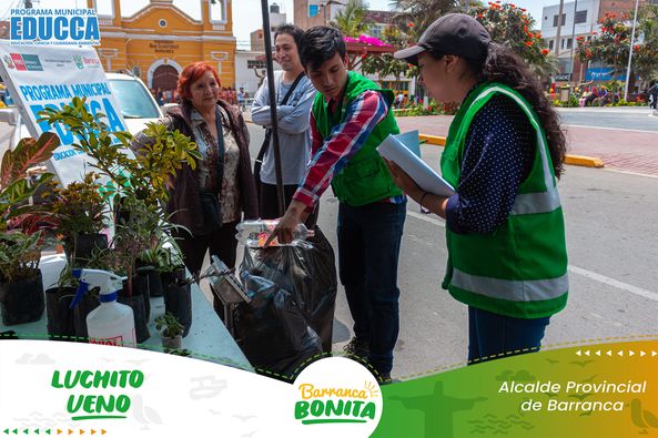 plantas
