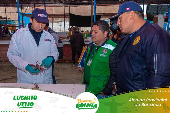 inspección