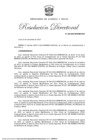 Vista preliminar de documento RD 228