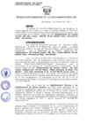 Vista preliminar de documento 113_2013_GRSM_PEAM_01_00