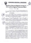 Vista preliminar de documento 07 Resolución Directoral Regional Sectorial N° 6474-2023-Gobierno Regional Amazonas/DREA
