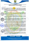 Vista preliminar de documento rgm563