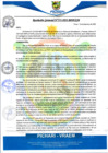Vista preliminar de documento rgm572
