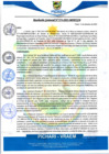 Vista preliminar de documento rgm574