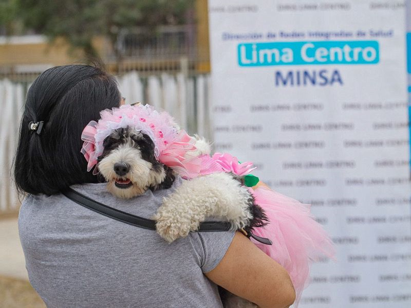 ¿Cuándo se debe aplicar la vacuna antirrábica humana? foto 2