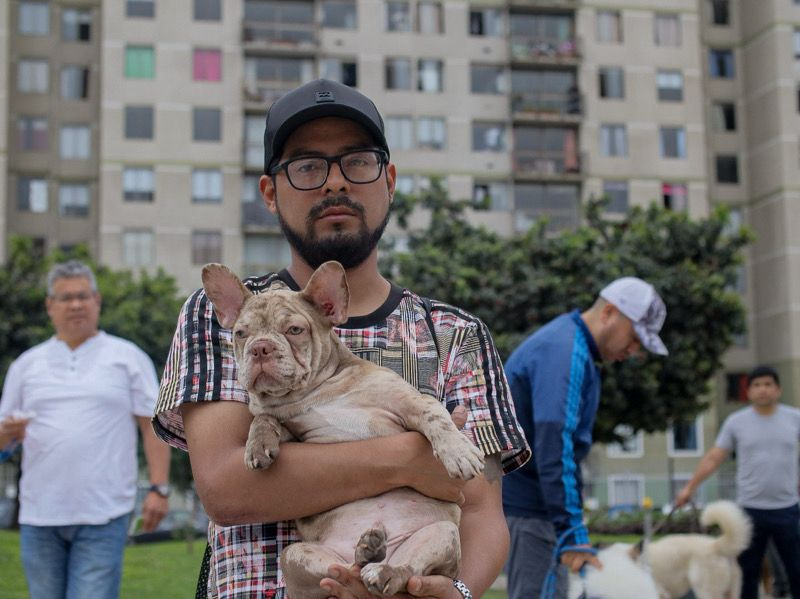 ¿Cuándo se debe aplicar la vacuna antirrábica humana? foto 3