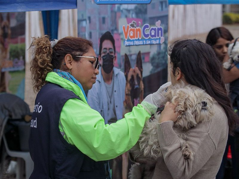 Cuándo se debe aplicar la vacuna antirrábica humana foto 4