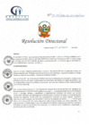 Vista preliminar de documento RD N° 19-02-2022-DE-HCLLH-MINSA