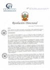 Vista preliminar de documento RD N° 24-02-2022-DE-HCLLH-MINSA