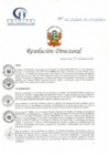 Vista preliminar de documento RD N° 25-02-2022-DE-HCLLH-MINSA