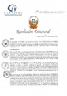 Vista preliminar de documento RD N° 27-02-2022-DE-HCLLH-MINSA