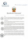 Vista preliminar de documento RD N° 29-02-2022-DE-HCLLH-MINSA
