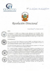 Vista preliminar de documento RD N° 31-05-2022-DE-HCLLH-MINSA