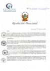 Vista preliminar de documento RD N° 33-02-2022-DE-HCLLH-MINSA