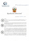 Vista preliminar de documento RD N° 36-02-2022-DE-HCLLH-MINSA