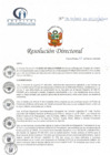 Vista preliminar de documento RD N° 38-02-2022-DE-HCLLH-MINSA