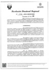 Vista preliminar de documento RDR Nº 3744-2023-GRSM-DRE