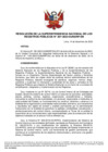 Vista preliminar de documento Resolución de la Superintendencia Nacional de los Registros Públicos N.° 207-2023-SUNARP/SN