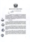 Vista preliminar de documento RD 101-2020